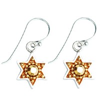 Golden Enamel & Silver Star of David Earrings